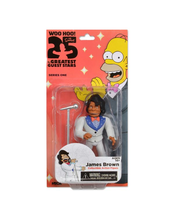 NECA The Simpsons 25th Anniversary – Serie 1 – figura de acción de James Brown, 5"