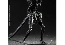 Blowout Alien Warrior AVP Exquisite Mini 1:18