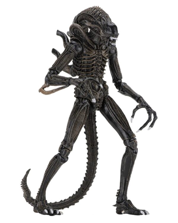 Alien- 7" s - Ultimate Warrior - (1986) Brown Alien - Imagen 2